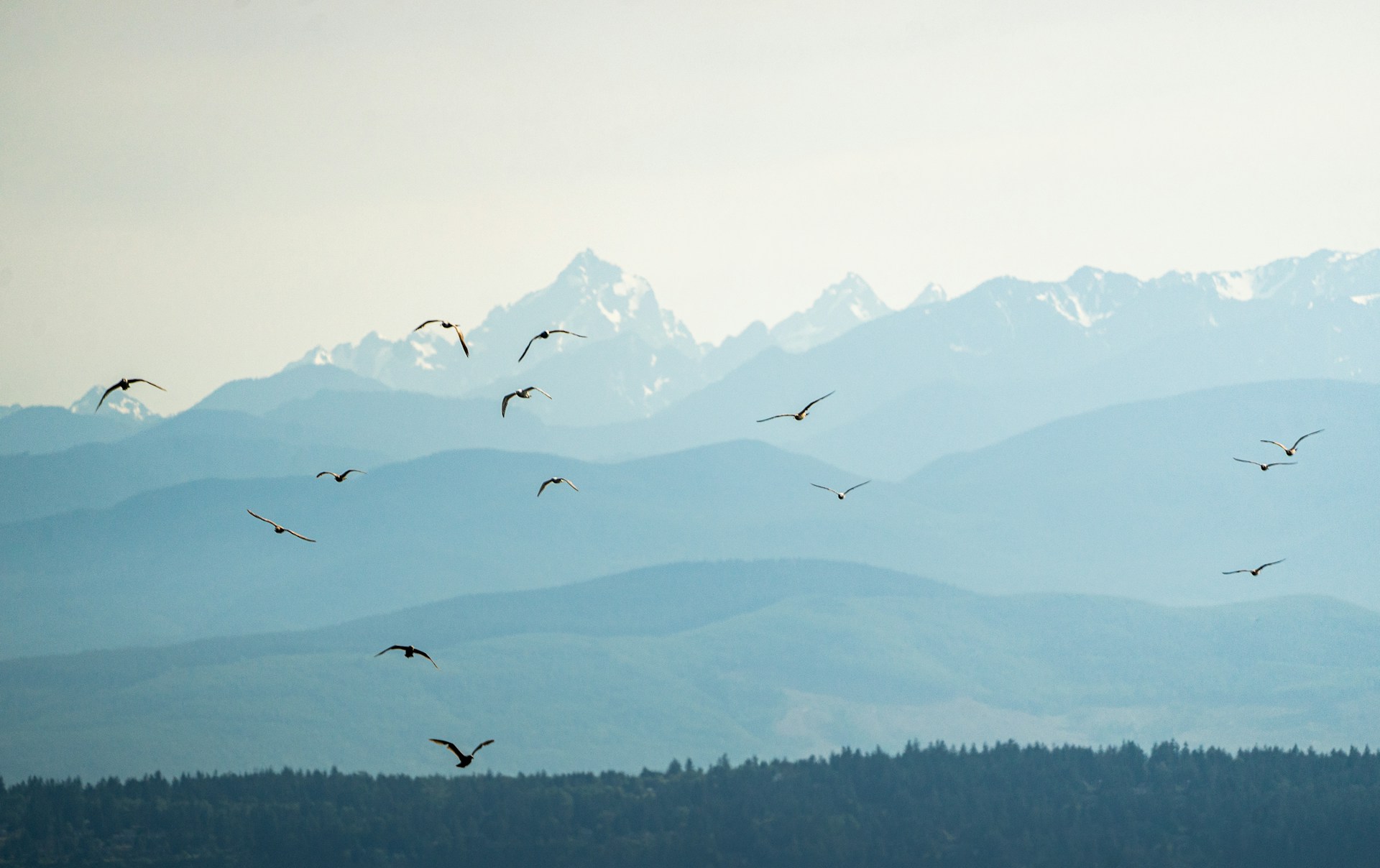 Exploring the Power of Machine Learning in Everyday Life